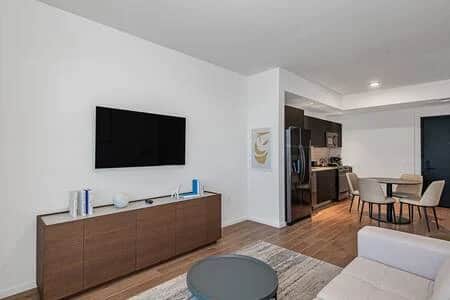 Luxury 1 BD Condo in Biscayne Boulevard #3010